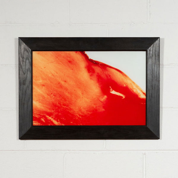 ANDRES SERRANO 