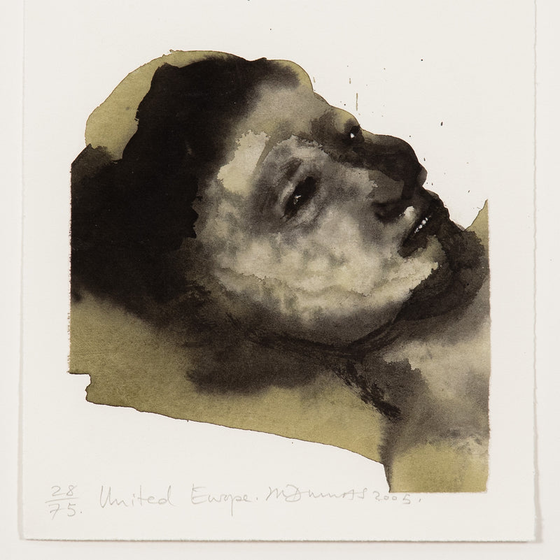 Marlene Dumas"United Europe" 2005