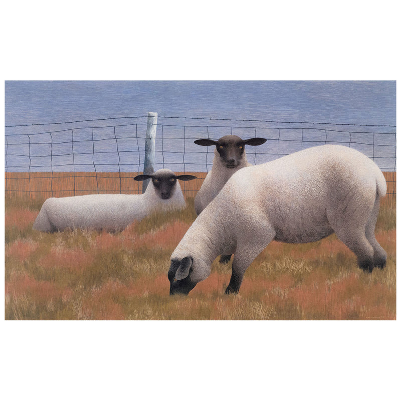 Alex Colville "Three Sheep" Lithograph, 1954