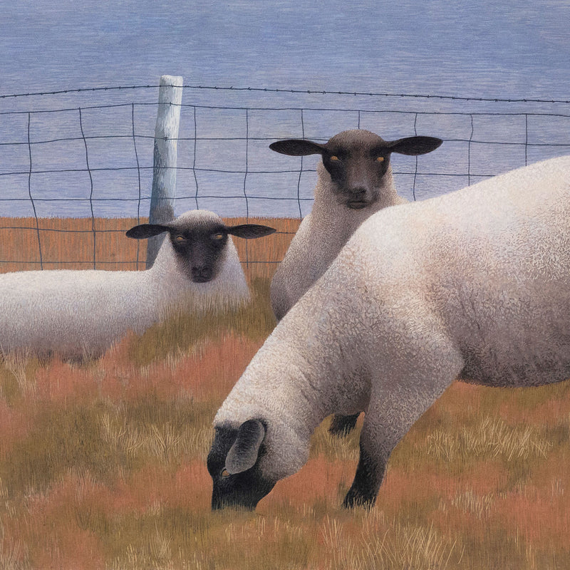 Alex Colville "Three Sheep" Lithograph, 1954