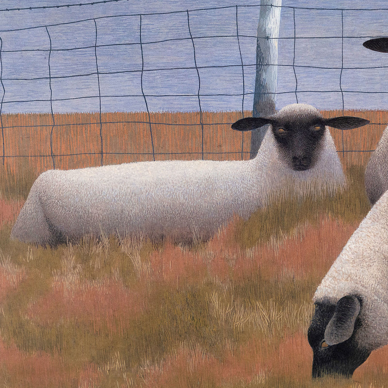 Alex Colville "Three Sheep" Lithograph, 1954