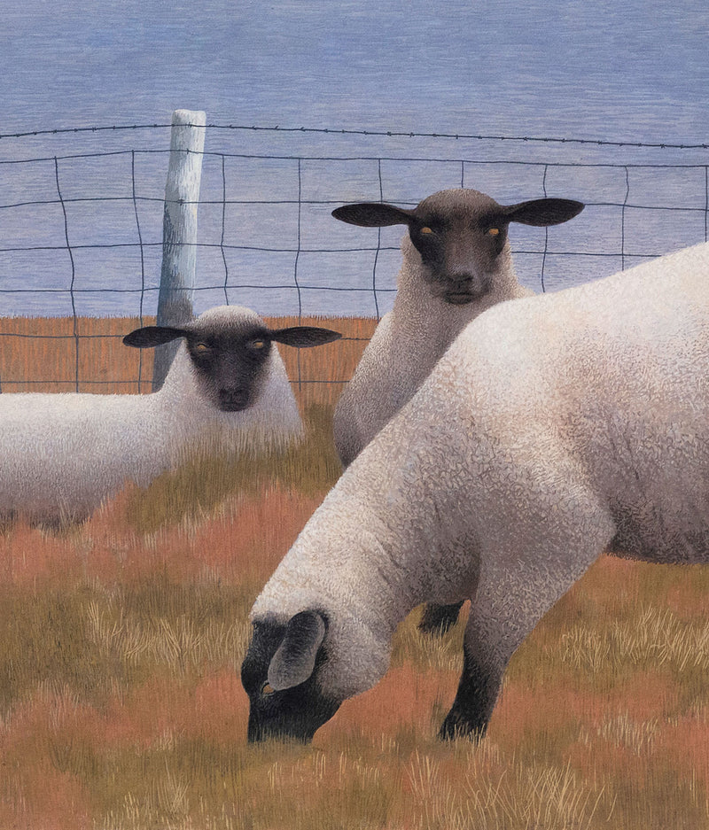 Alex Colville "Three Sheep" Lithograph, 1954