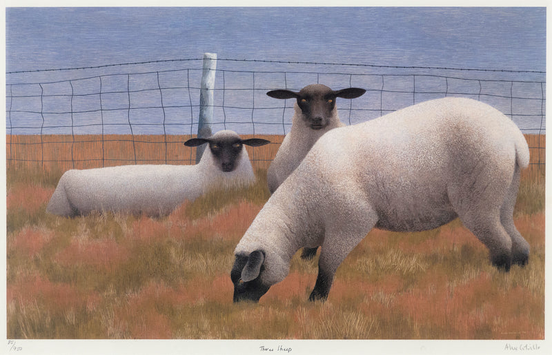 Alex Colville "Three Sheep" Lithograph, 1954