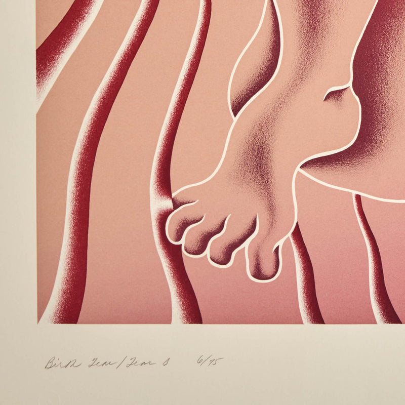 Famous American feminist artist Judy Chicago "Birth Tear/Tear" 1985, from the Birth Project series.